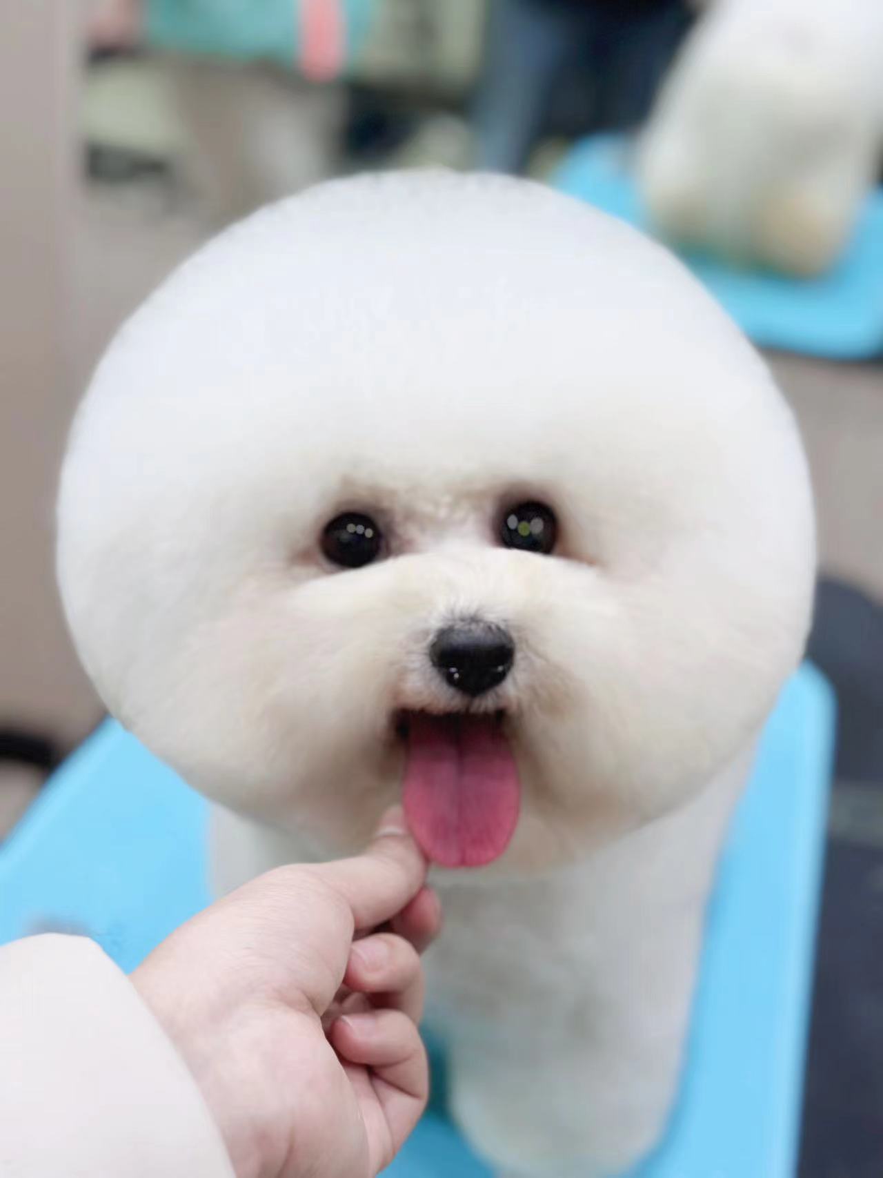 優(yōu)秀作品