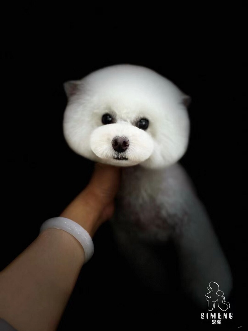 優秀作品