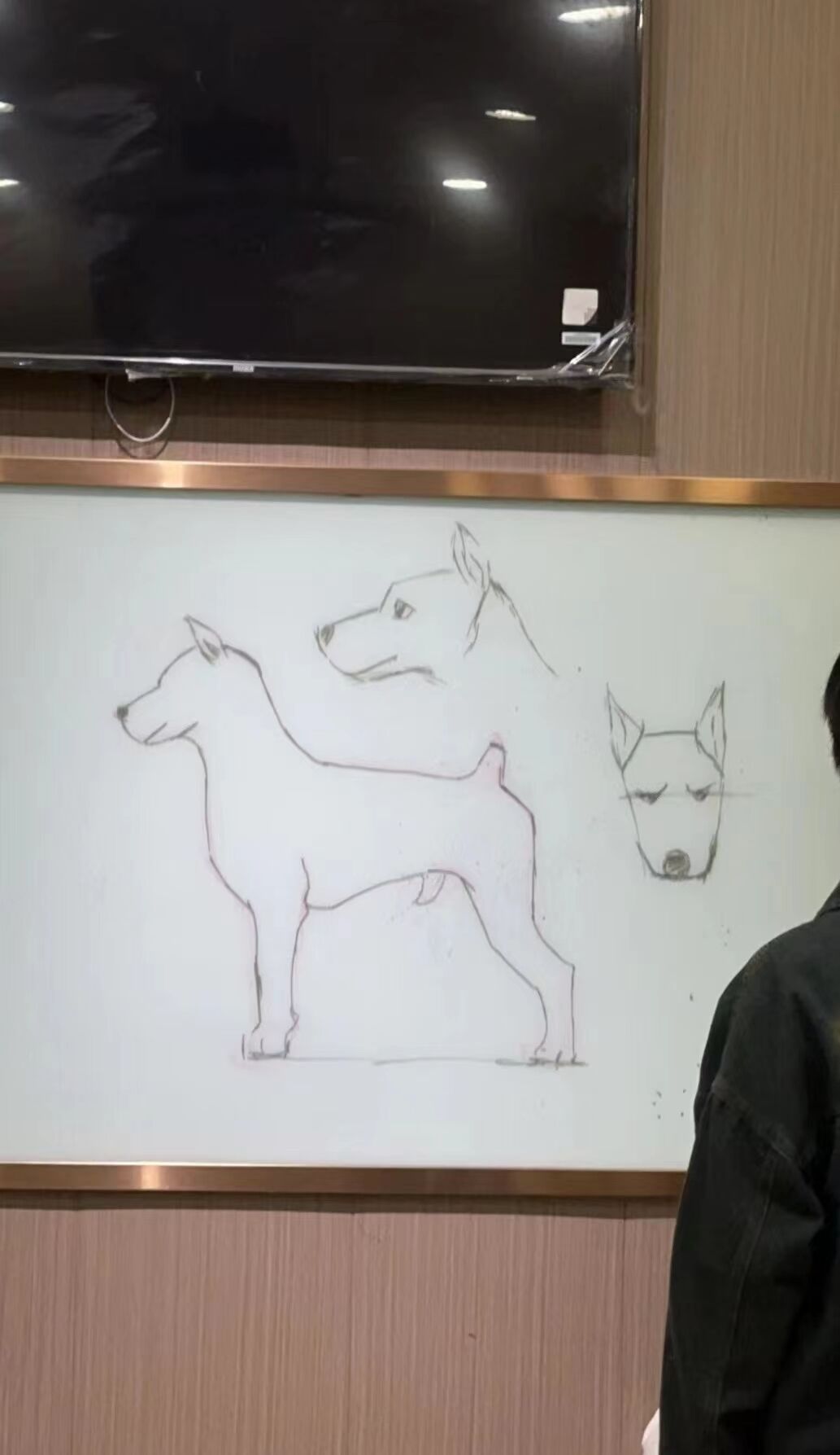 優(yōu)秀作品