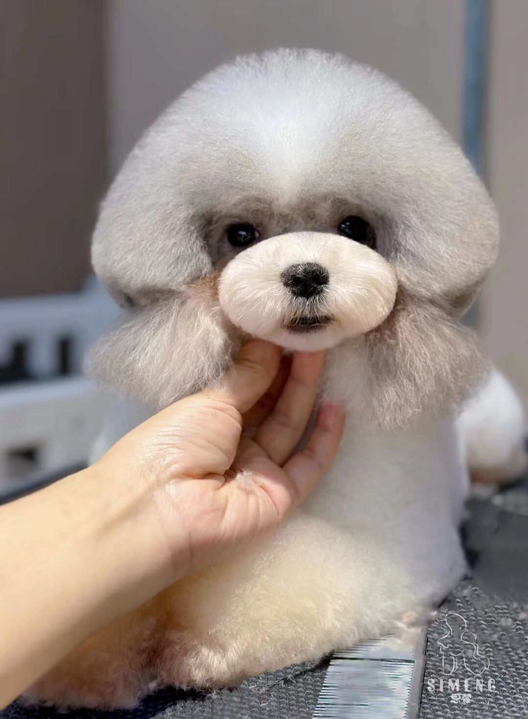 優秀作品