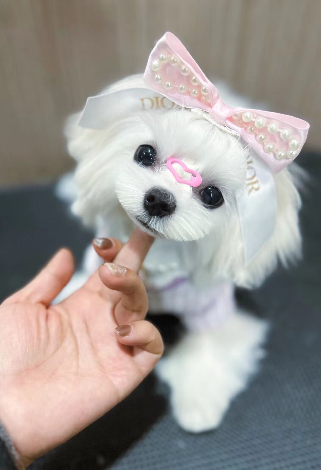 優秀作品