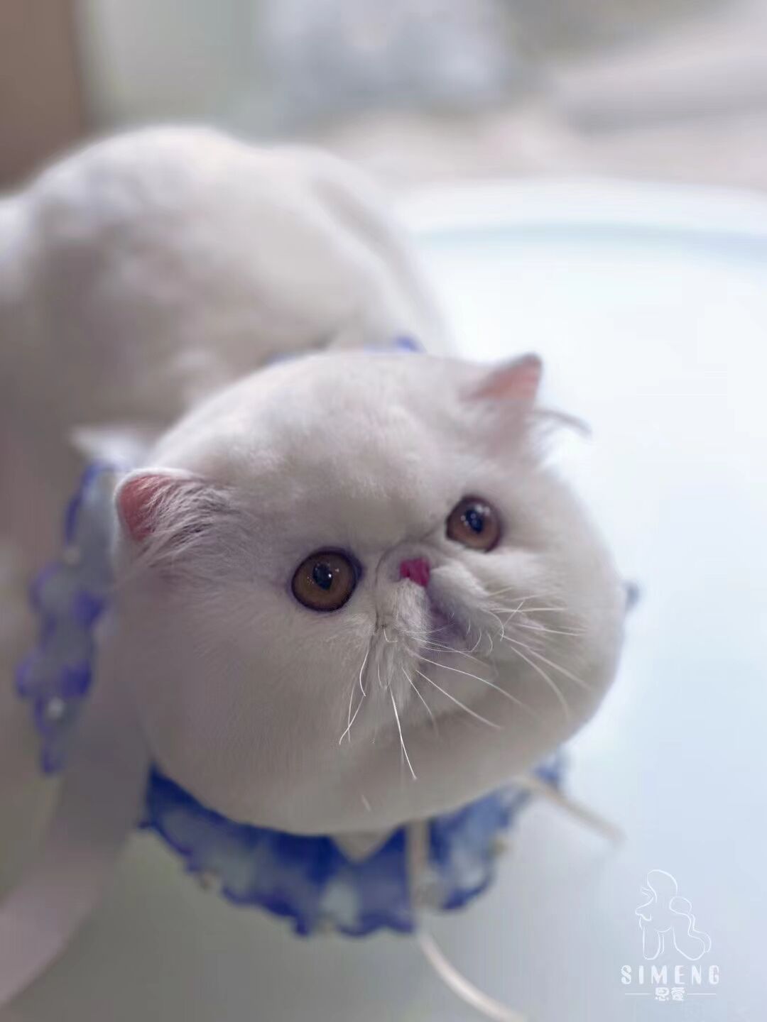 優秀作品