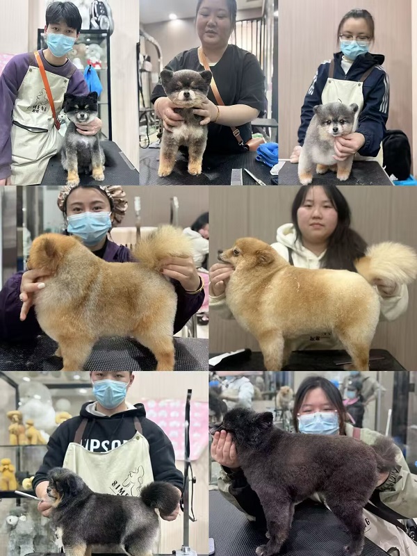 優秀作品