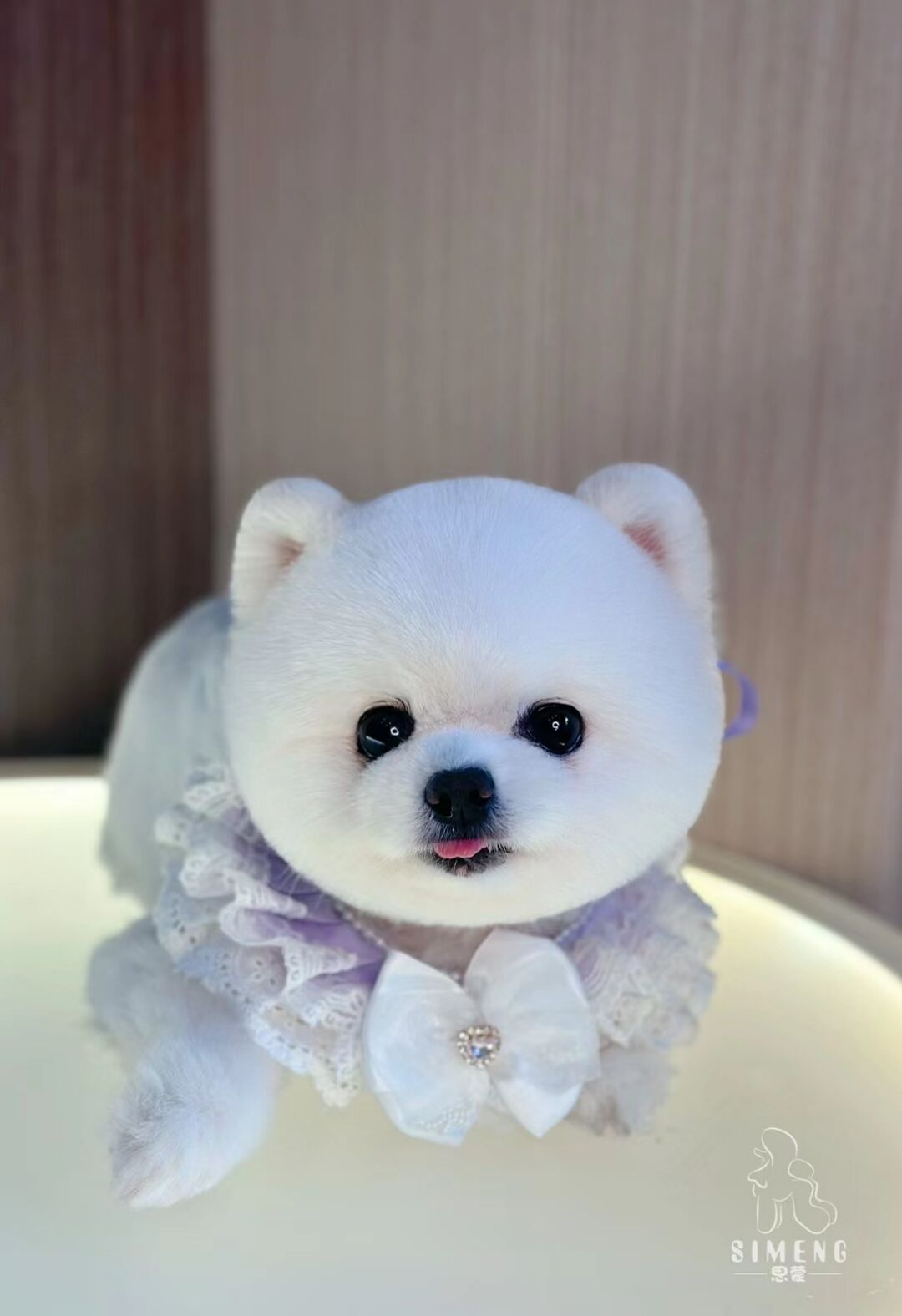 優秀作品