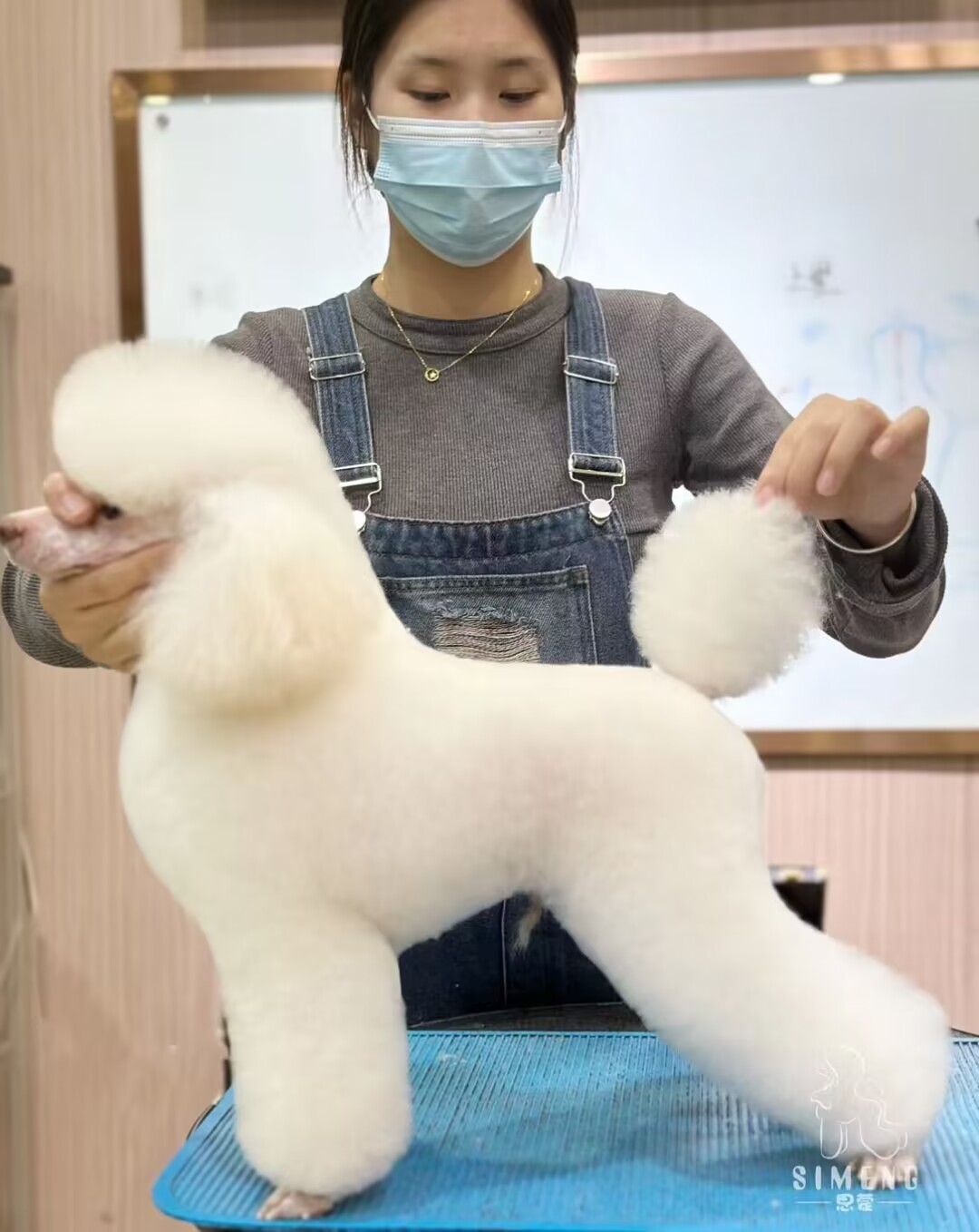優(yōu)秀作品