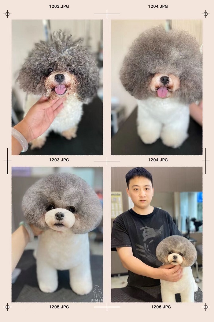 優秀作品