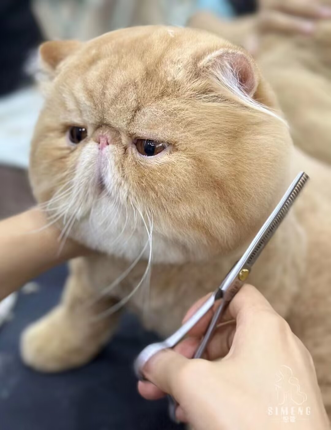 優秀作品