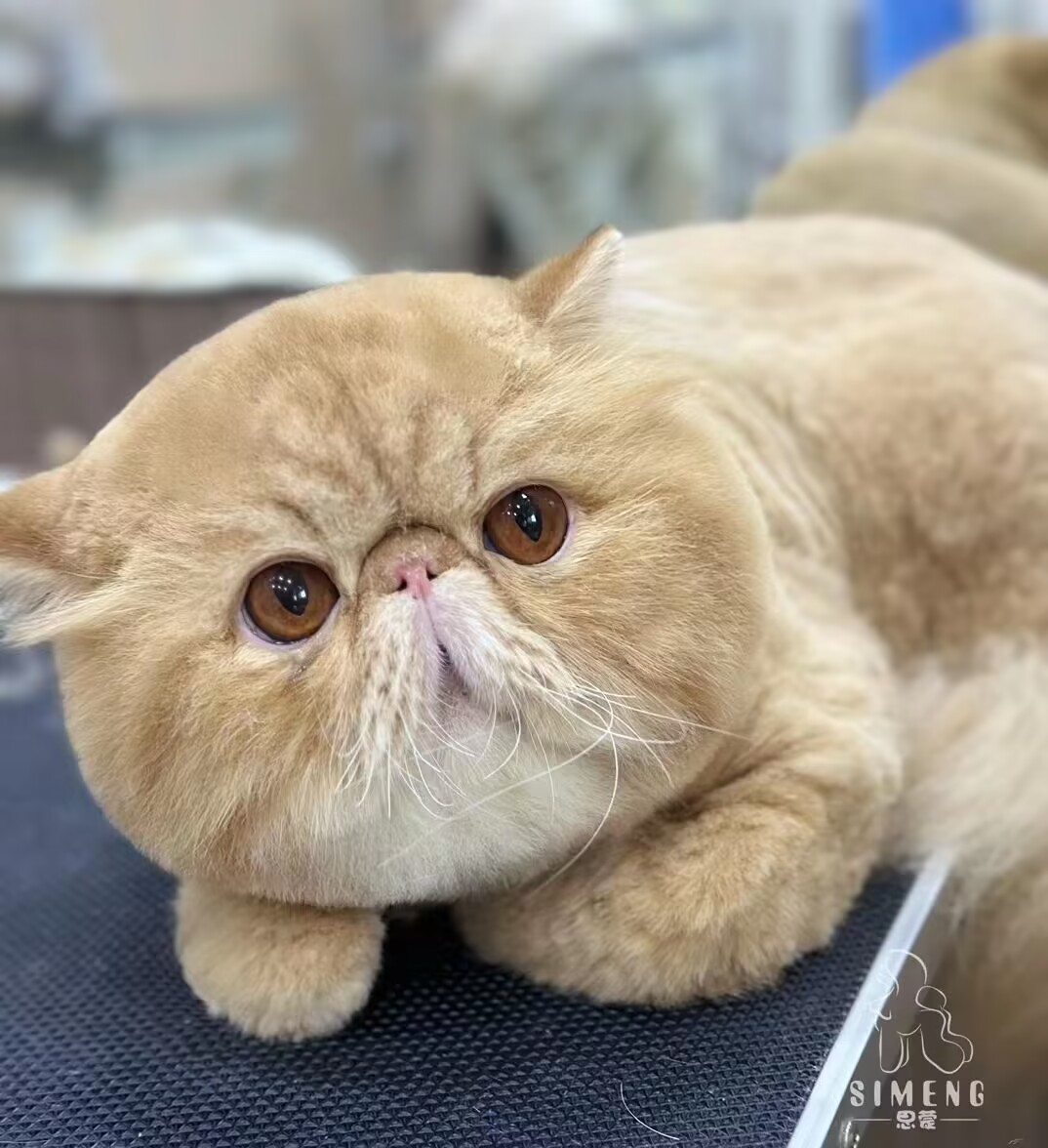 優秀作品