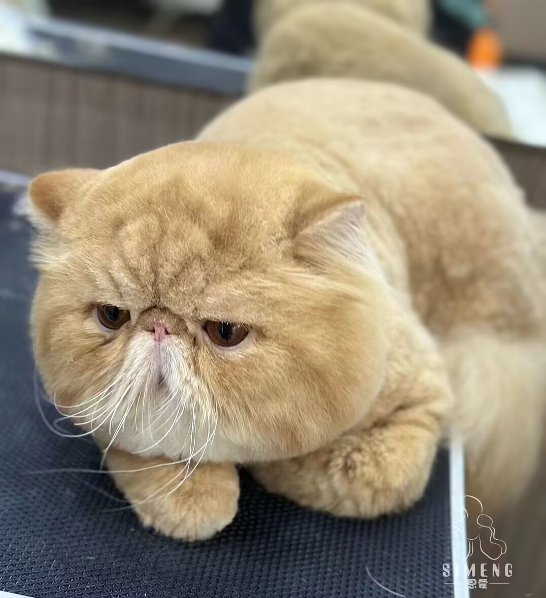 優秀作品