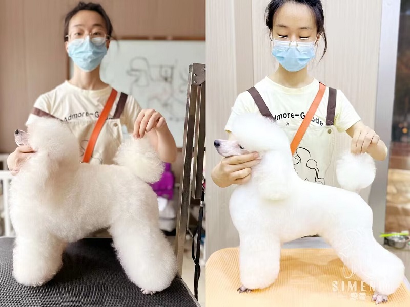優(yōu)秀作品