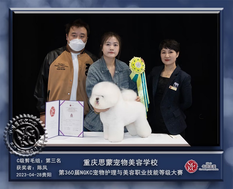 我們的榮譽(yù)