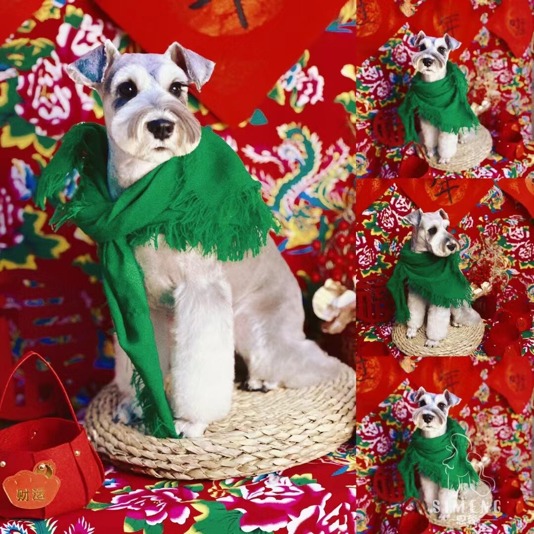 優秀作品