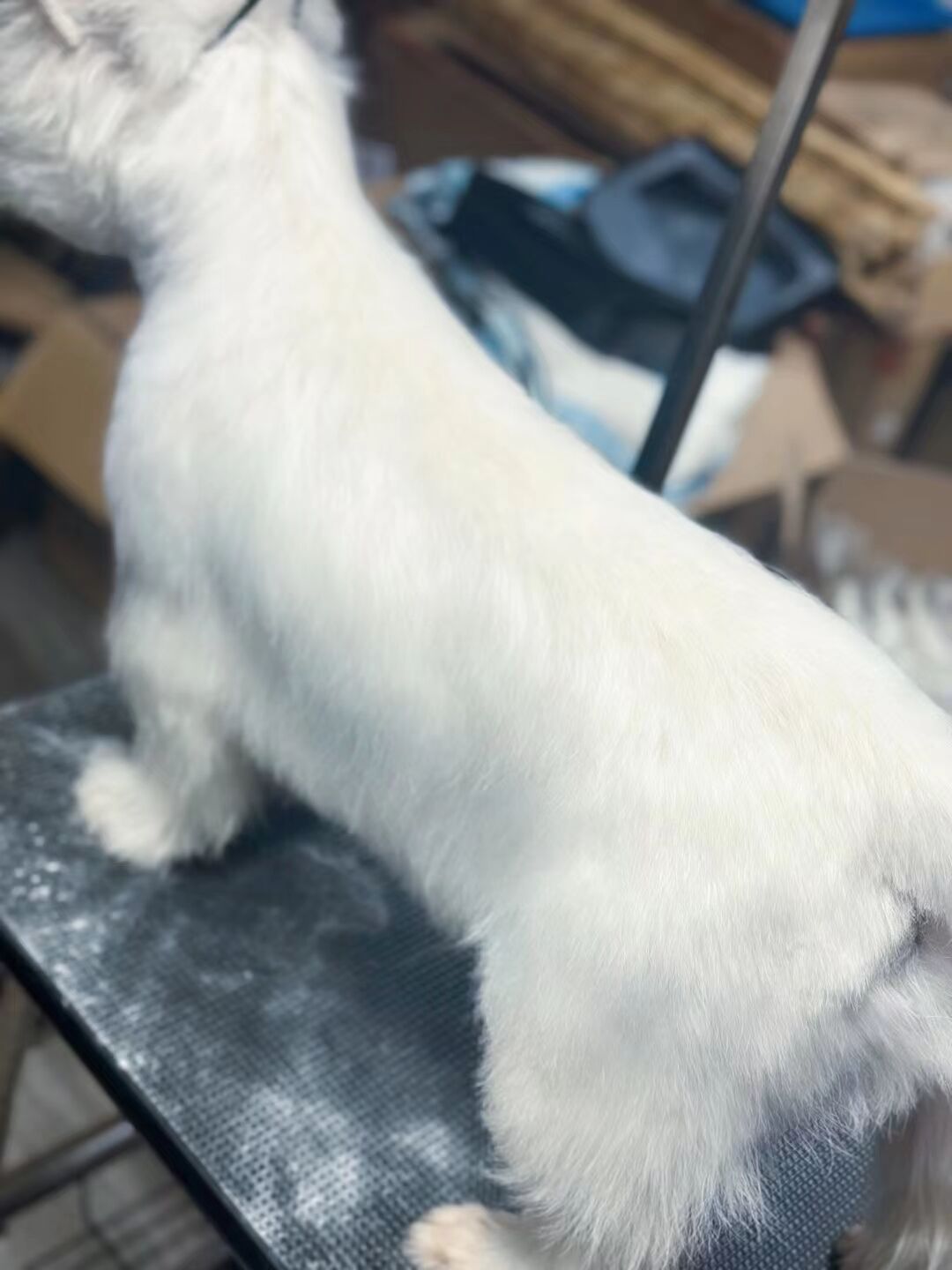 優秀作品