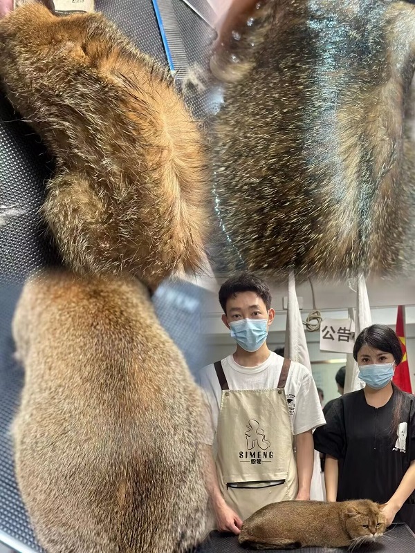 優(yōu)秀作品