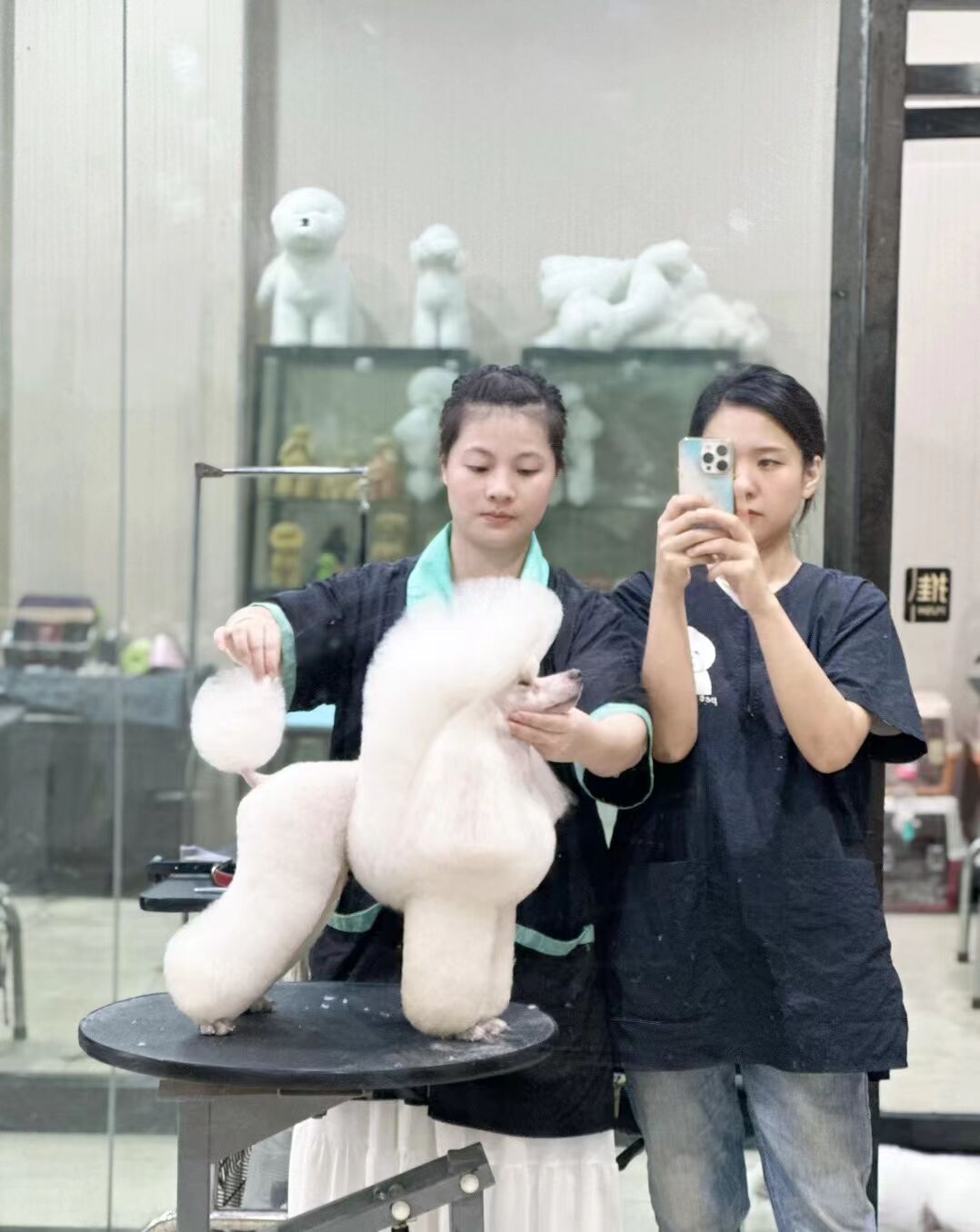 優(yōu)秀作品