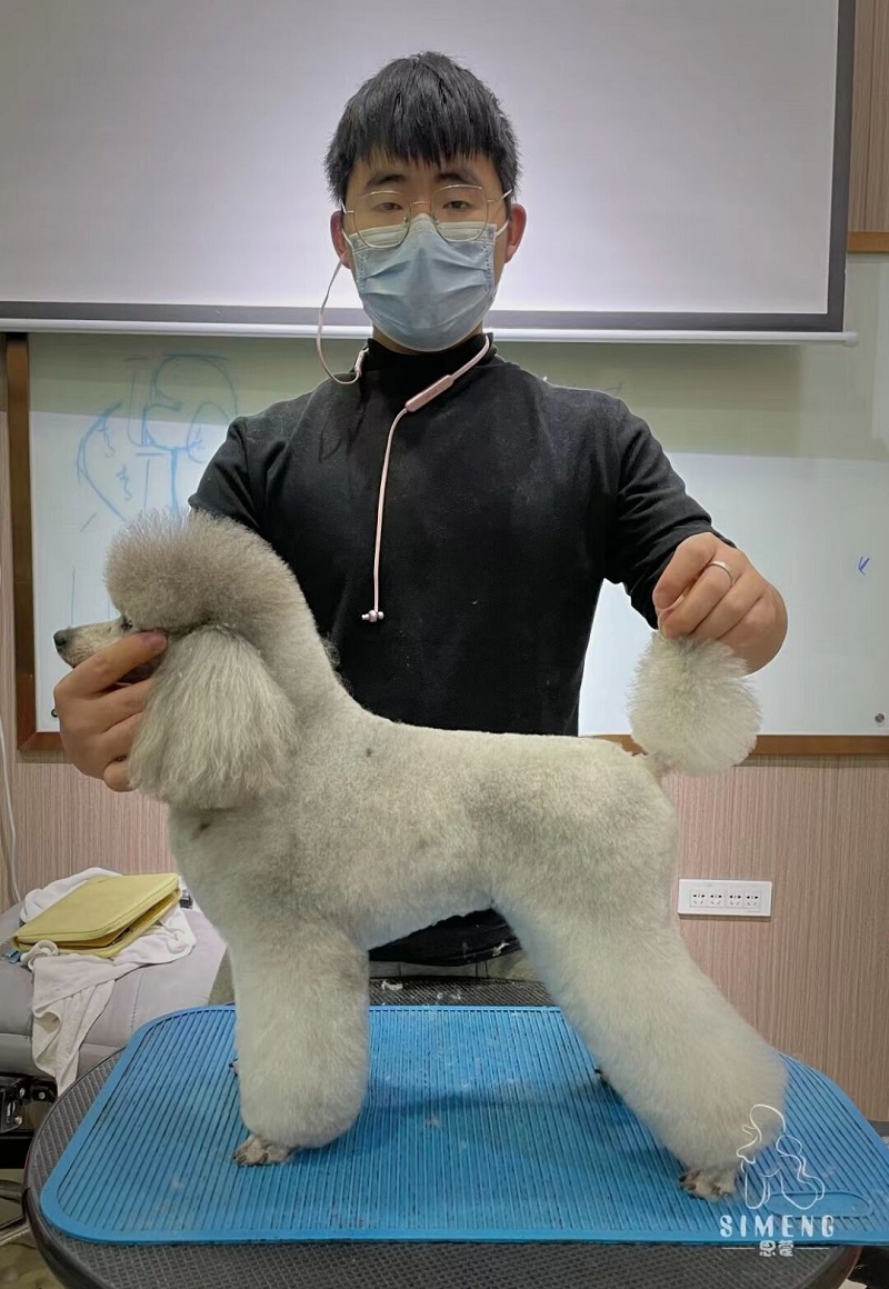 優(yōu)秀作品