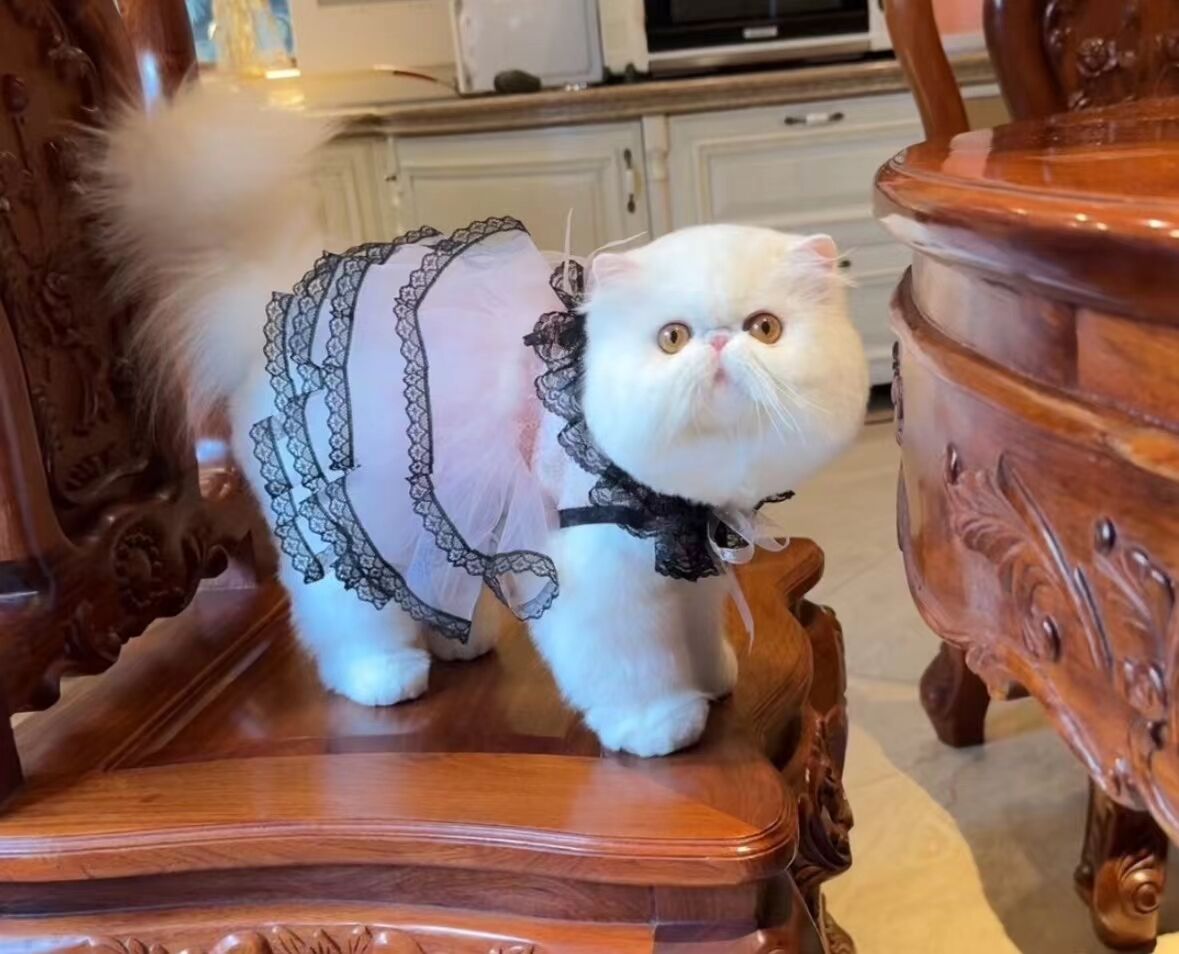 優秀作品