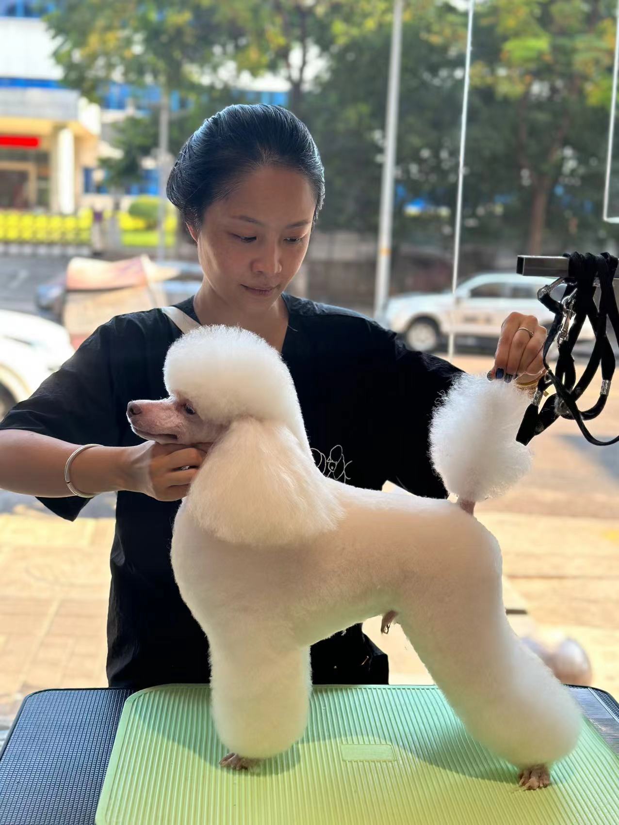 優秀作品