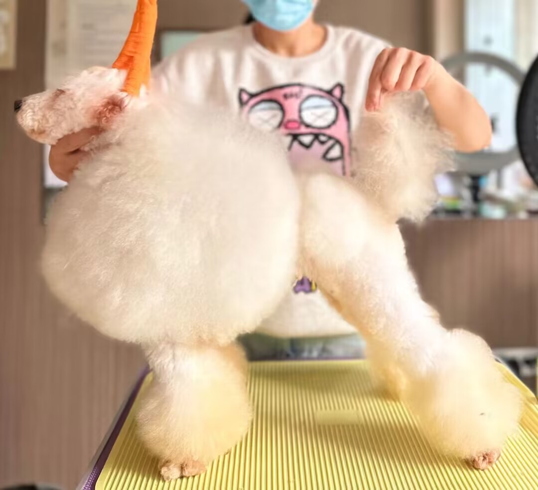 優(yōu)秀作品
