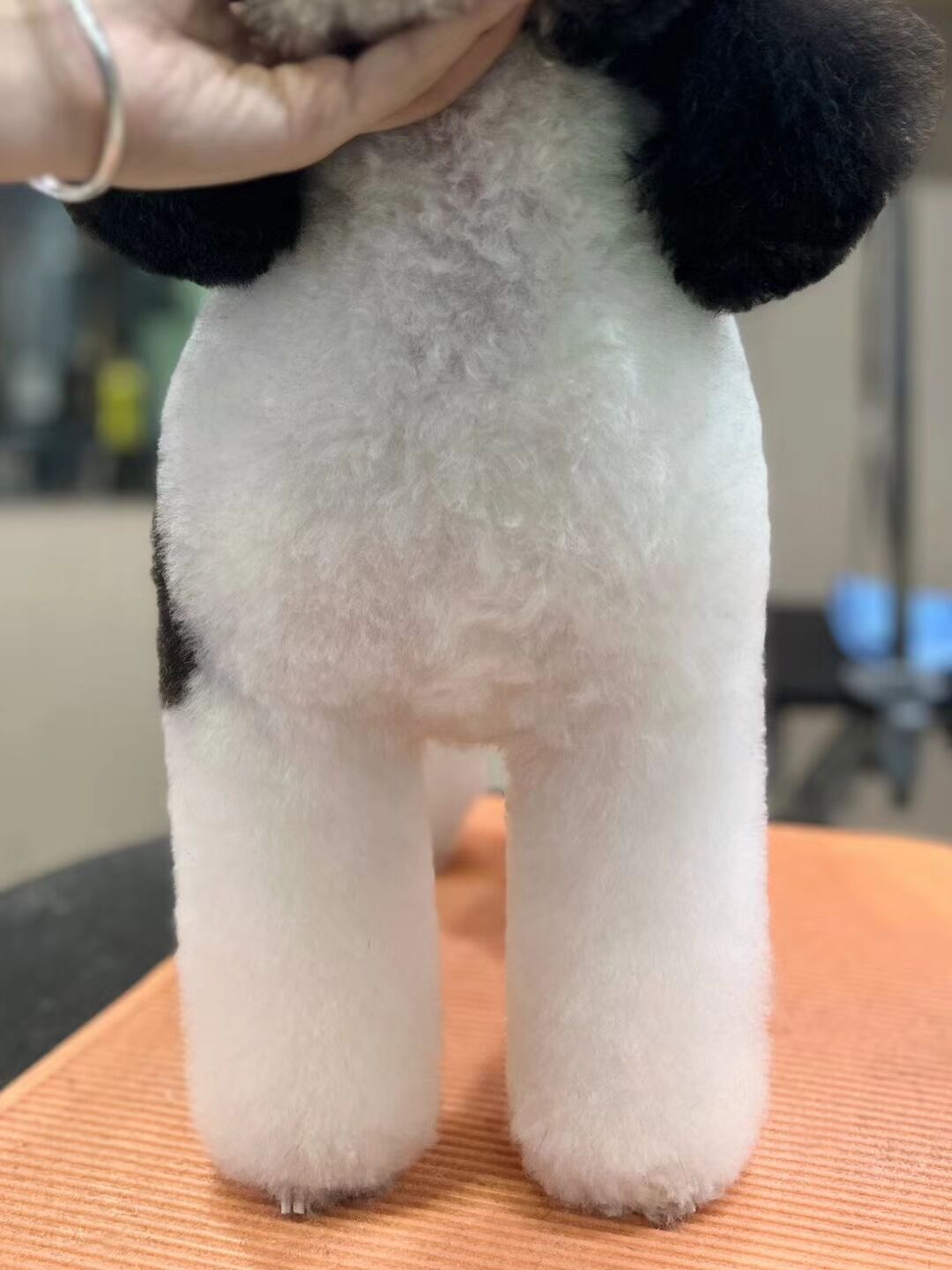 優(yōu)秀作品