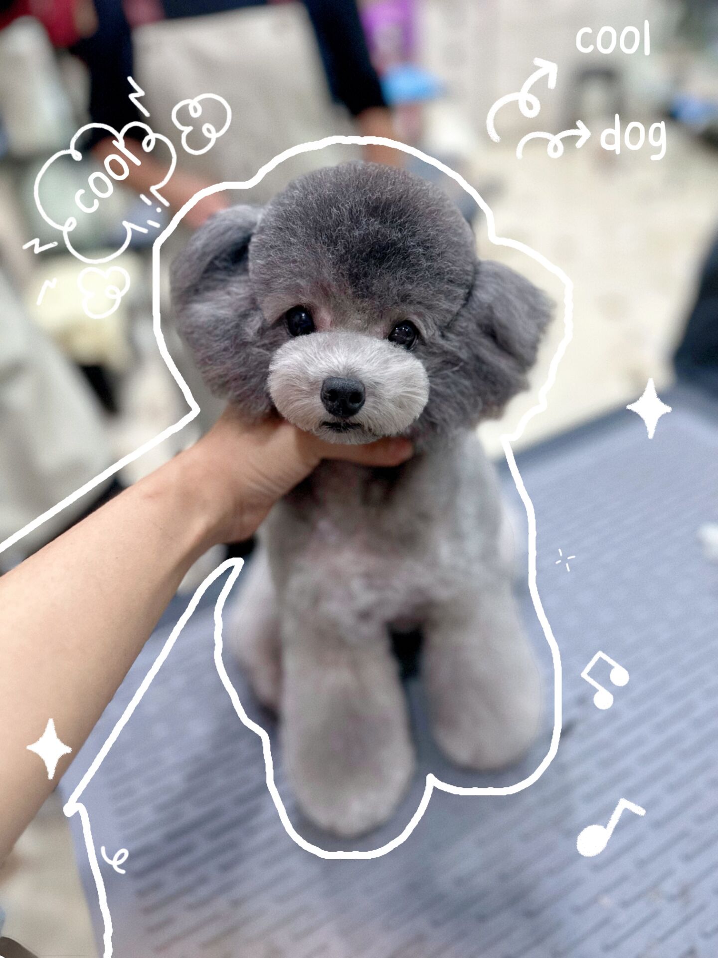 優(yōu)秀作品