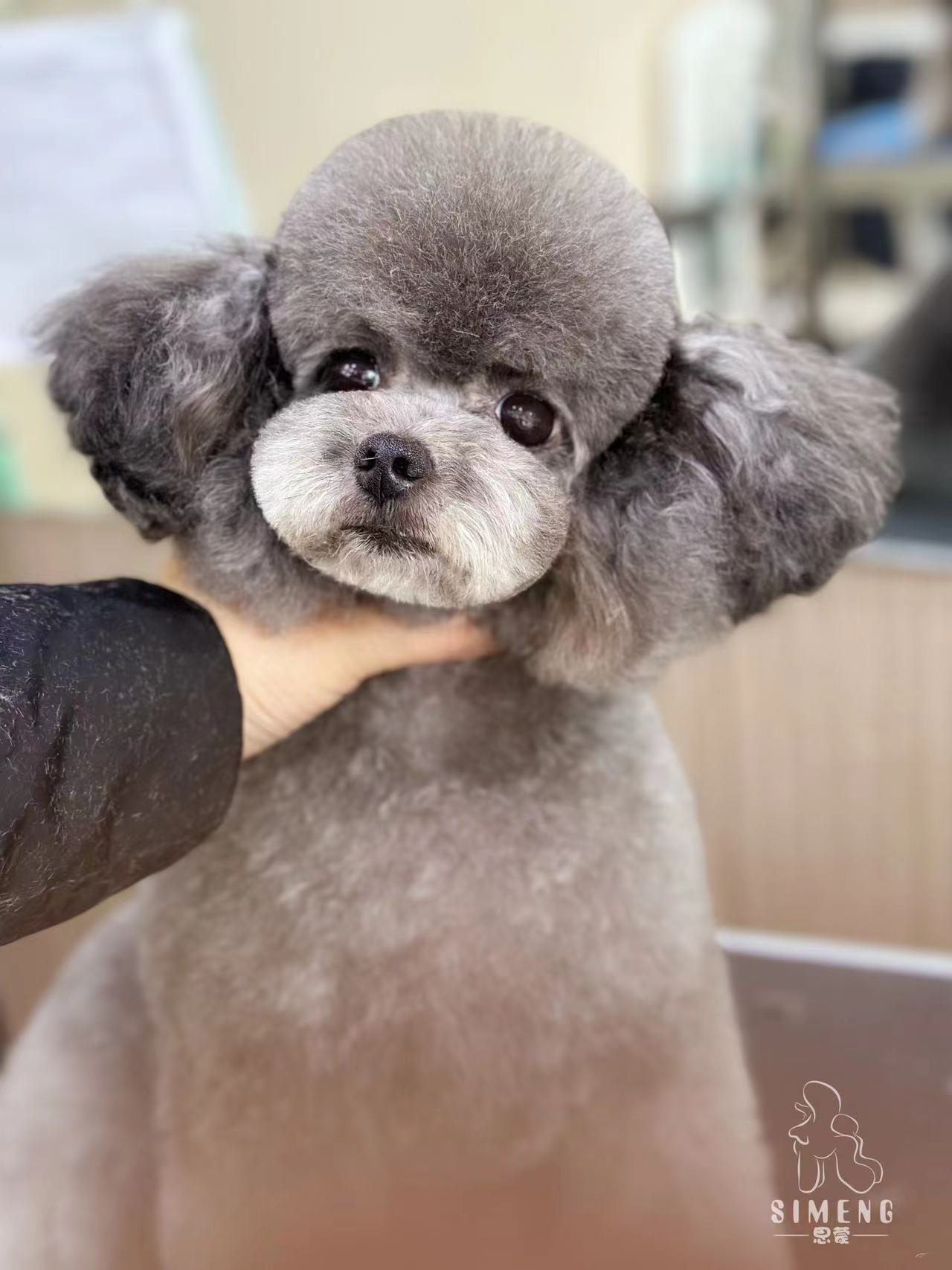 優秀作品