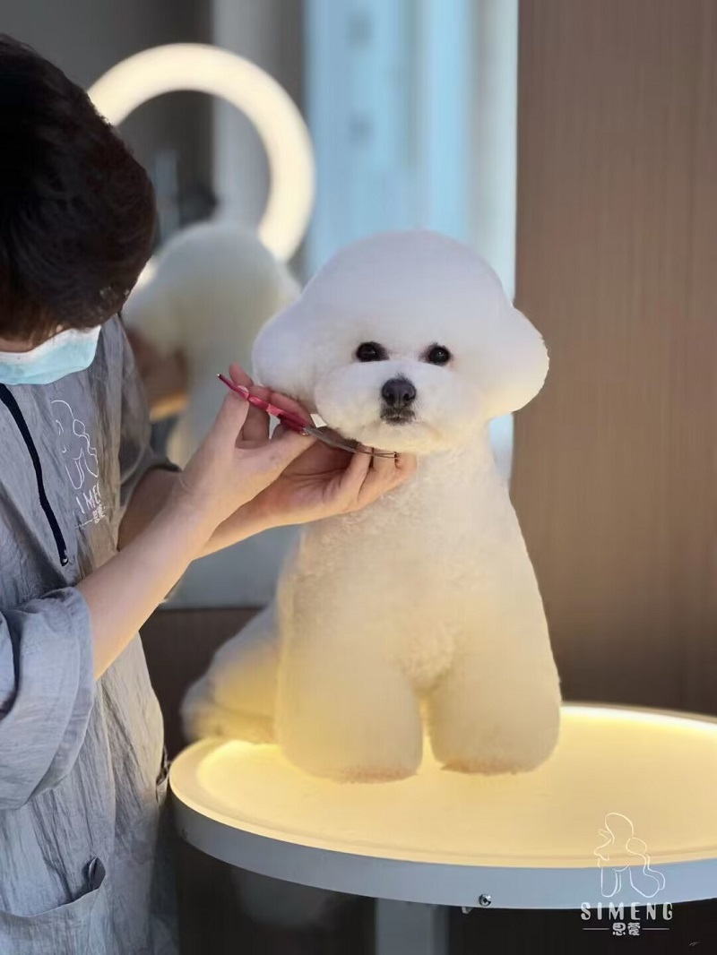 優秀作品