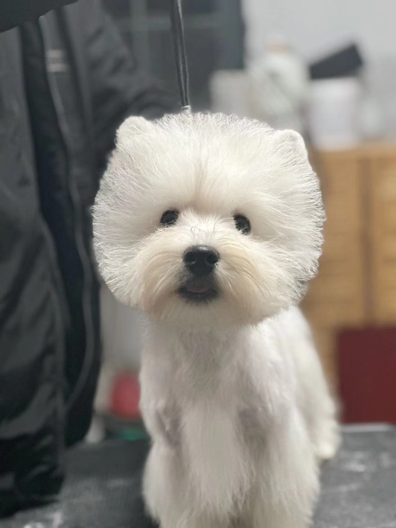 優秀作品