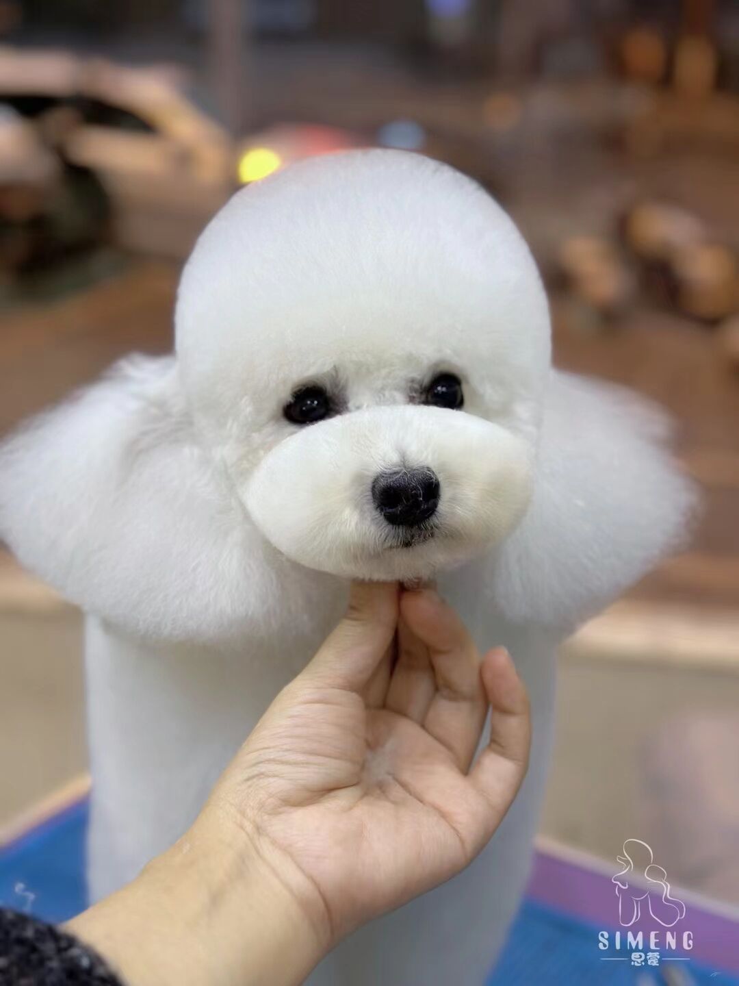 優(yōu)秀作品