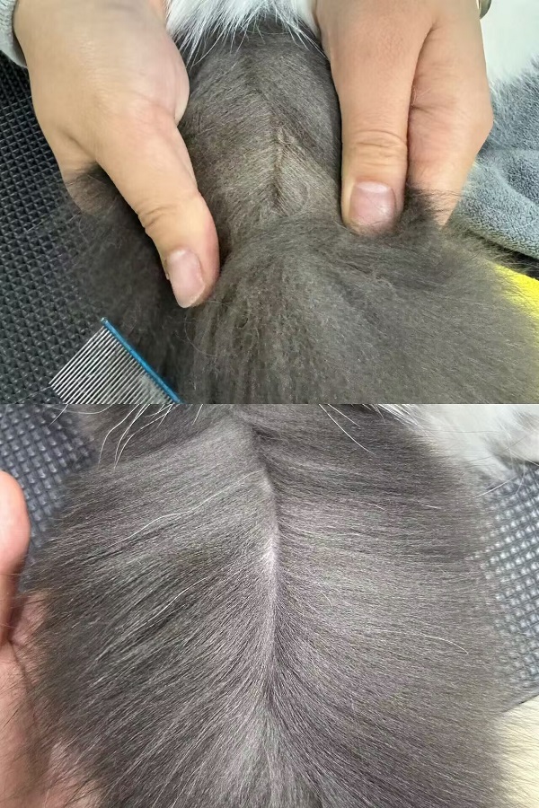 優秀作品