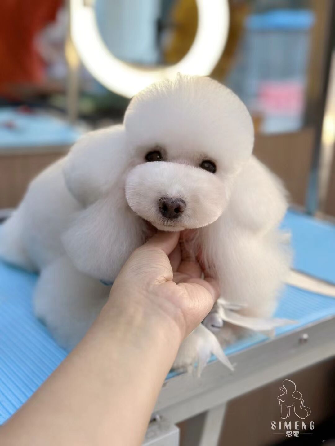 優秀作品