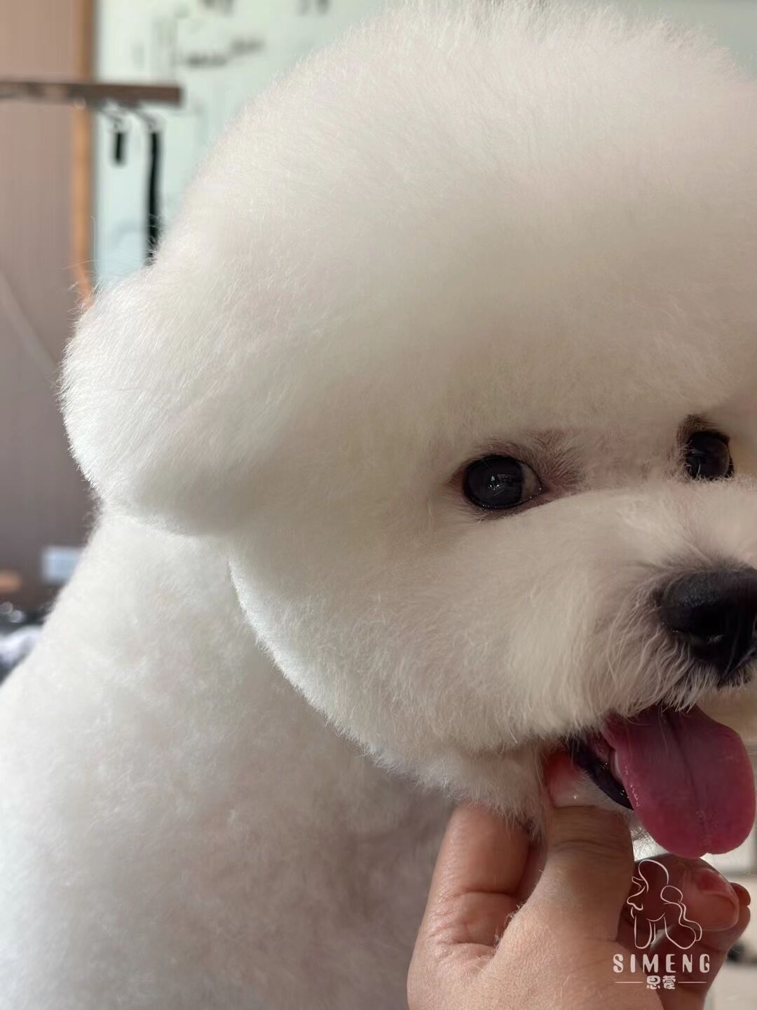 優秀作品