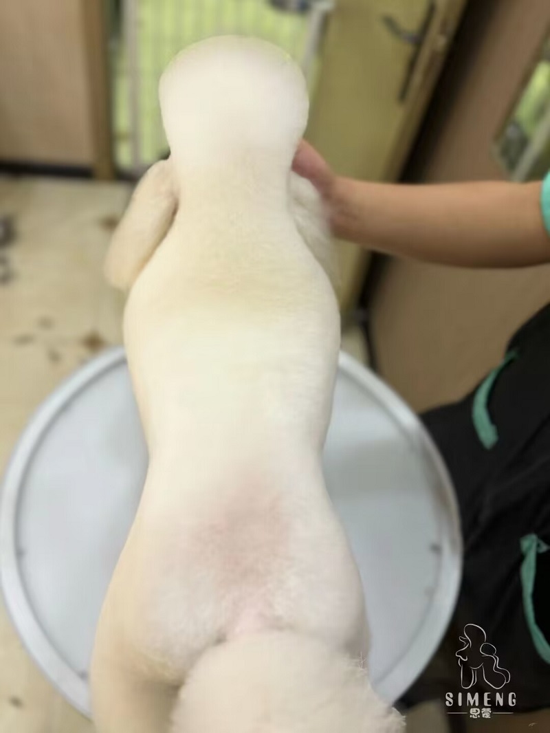優秀作品