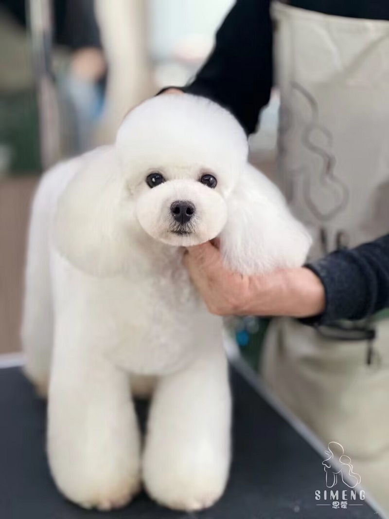優秀作品