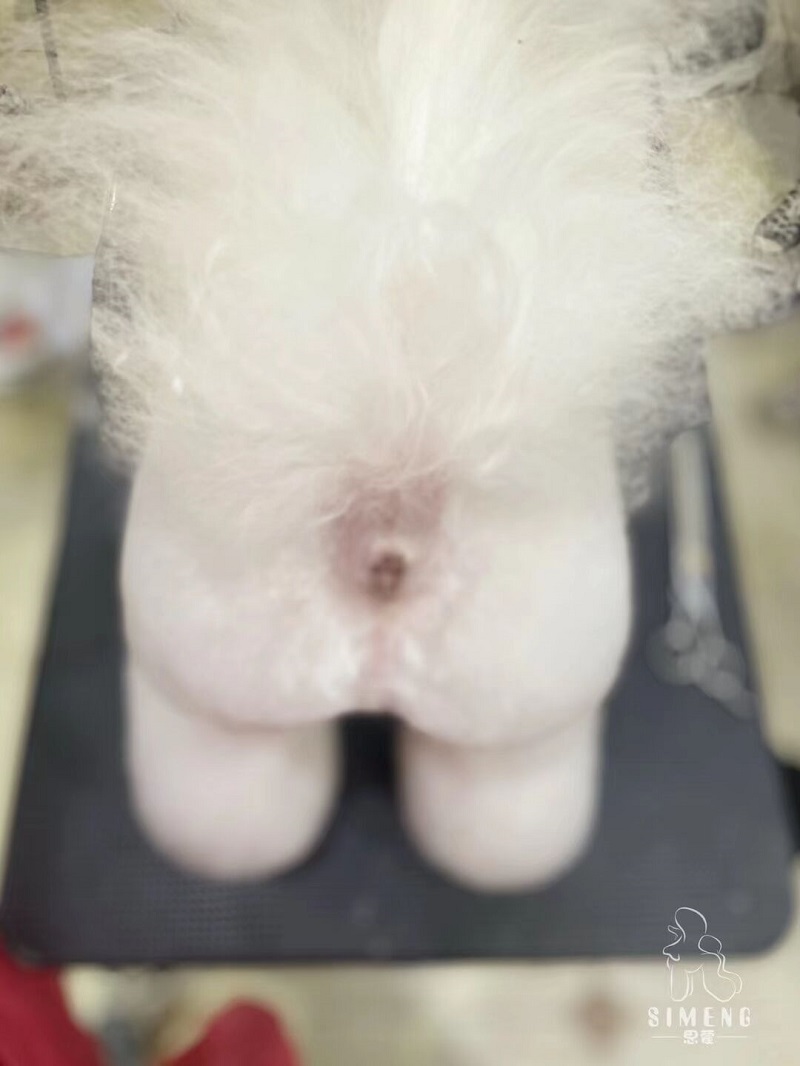 優(yōu)秀作品