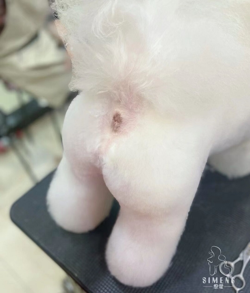 優(yōu)秀作品