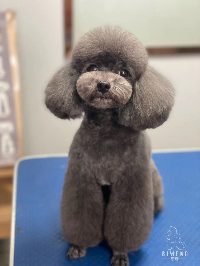 優(yōu)秀作品