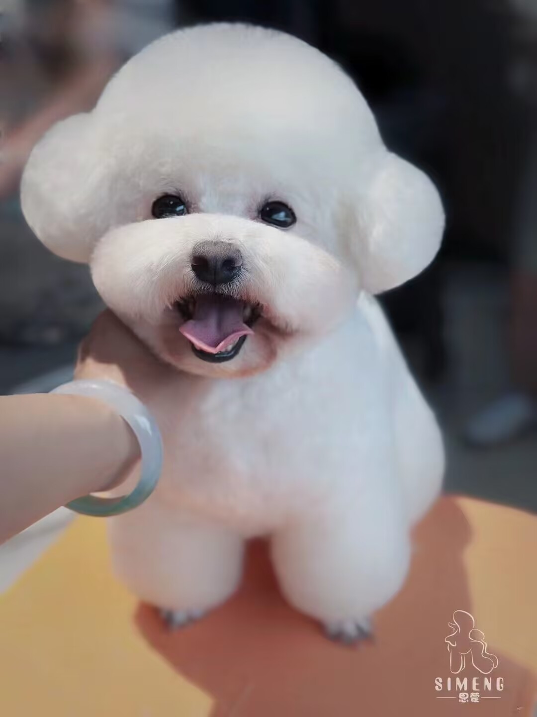 優秀作品