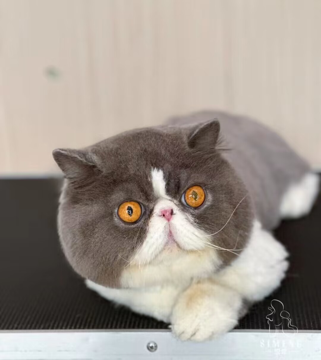 優秀作品