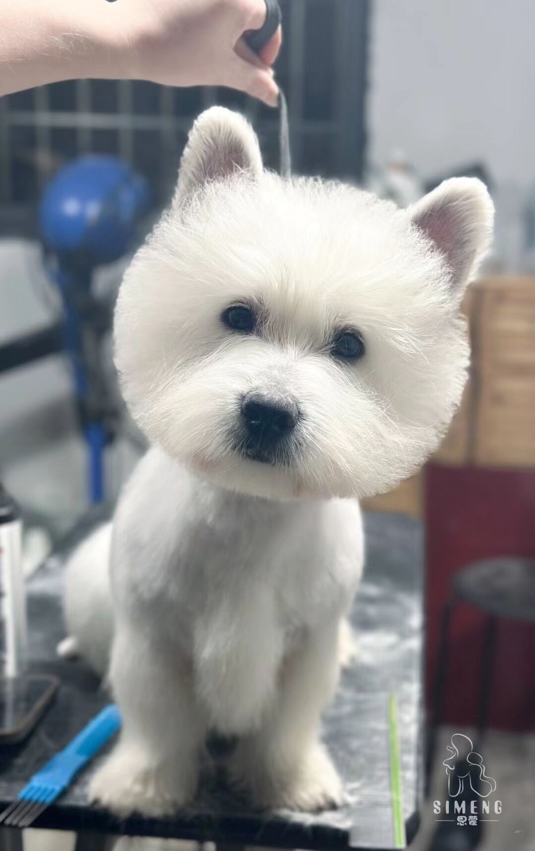 優秀作品