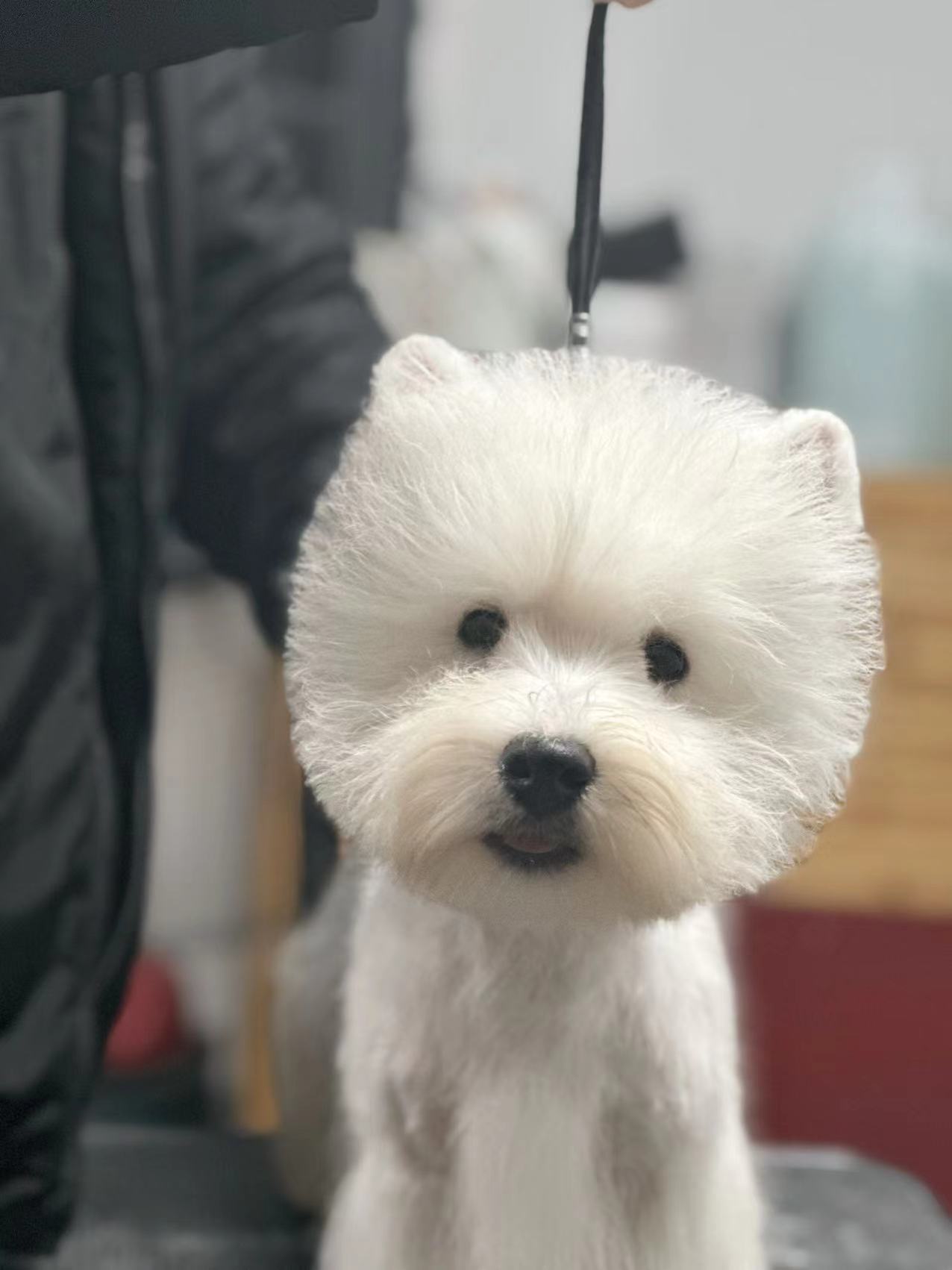 優秀作品