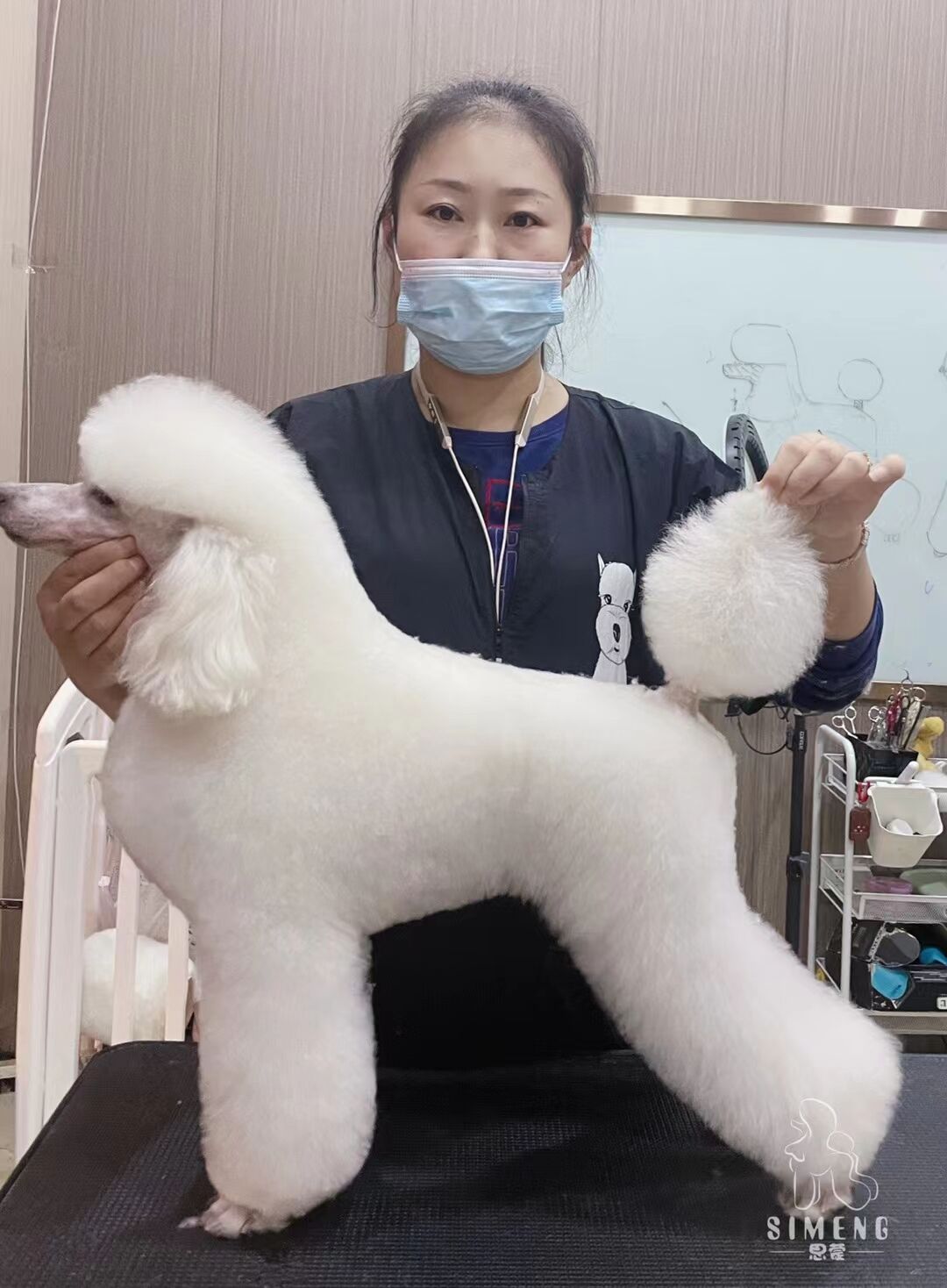 優(yōu)秀作品