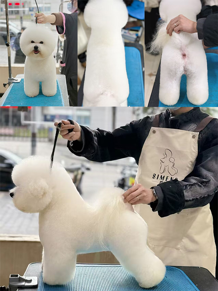 優(yōu)秀作品