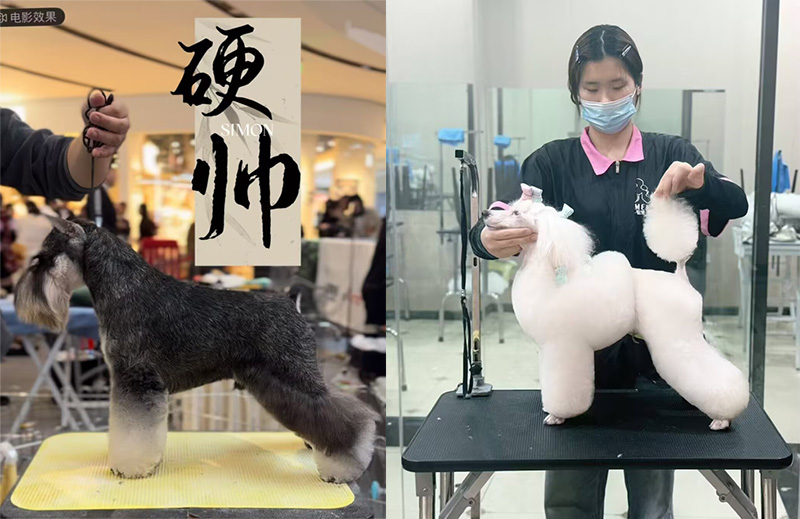 優秀作品