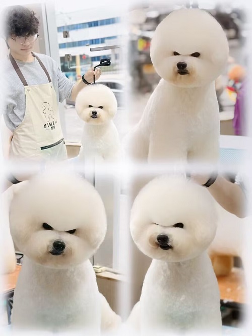 優(yōu)秀作品