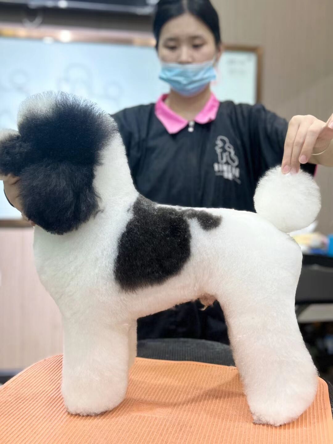 優(yōu)秀作品