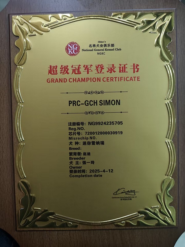 我們的榮譽