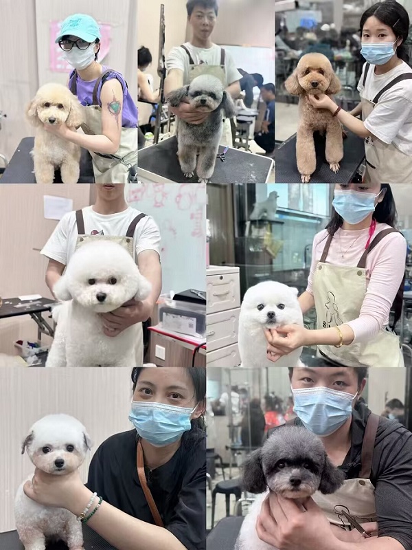 優秀作品