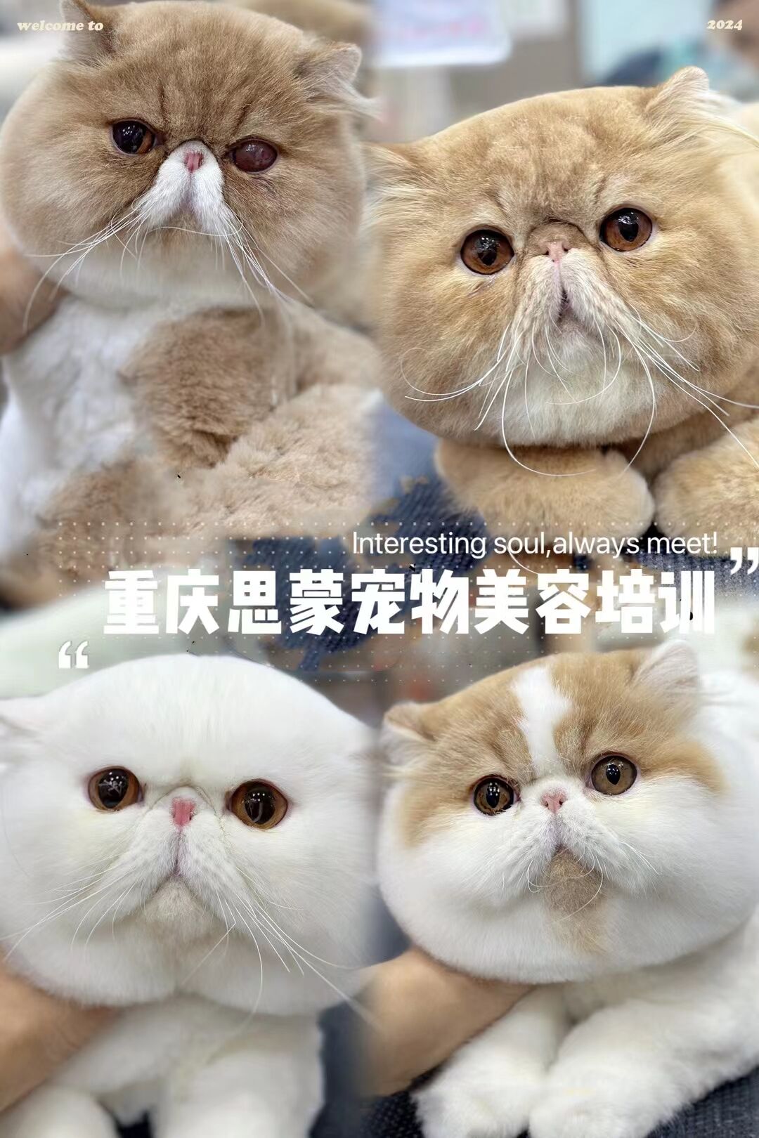 優(yōu)秀作品