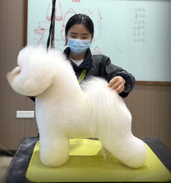 優(yōu)秀作品